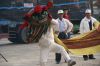 DSC00072~3.JPG