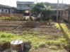 DSC00096~3.JPG
