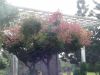 DSC00158~0.JPG