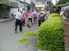 DSC00171~0.JPG