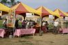 DSC00236~1.JPG