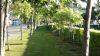 DSC00363~0.JPG