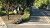 DSC00389~0.JPG