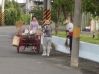 DSC00508~0.JPG