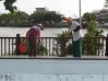 DSC00510~0.JPG