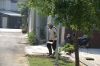 DSC00763~0.JPG