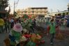 DSC00784~2.JPG