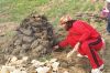 DSC00995.jpg