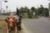 DSC01013.jpg