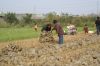 DSC01034.JPG