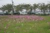 Filename=DSC01049.JPG
Filesize=190KB
圖片尺寸=640x428
加入日期=五月 12, 2010 DSC01049.JPG