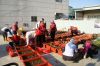 DSC01252.JPG