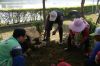 DSC01286~0.JPG