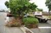 DSC01797.JPG