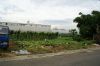 DSC01853.JPG