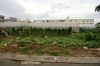 DSC01854.JPG