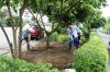 DSC01895.JPG