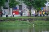 Filename=DSC02200.JPG
Filesize=170KB
圖片尺寸=640x428
加入日期=八月 16, 2010 DSC02200.JPG