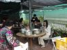 Filename=DSC02256.JPG
Filesize=85KB
圖片尺寸=448x336
加入日期=一月 11, 2014 DSC02256.JPG