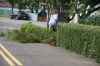 DSC02488.JPG