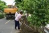 DSC02537~0.JPG