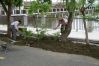 DSC02539~0.JPG
